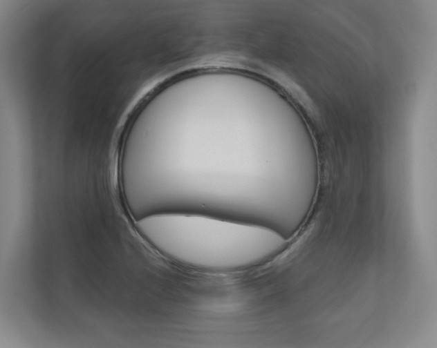 X0000110981224200906191044