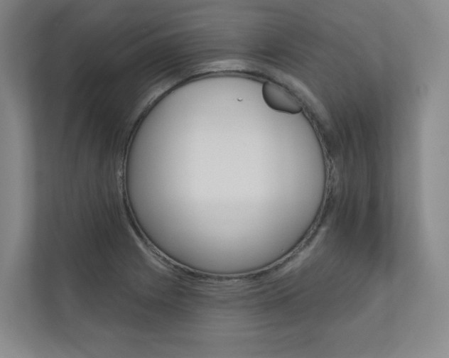 X0000110981225200906191044