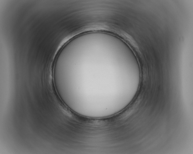 X0000110981226200906191044