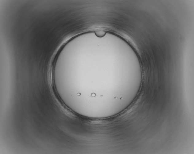 X0000110981227200906191044