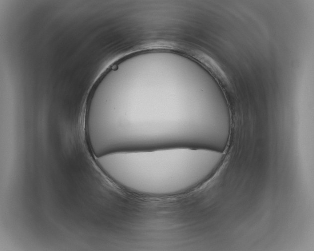 X0000110981228200906191044