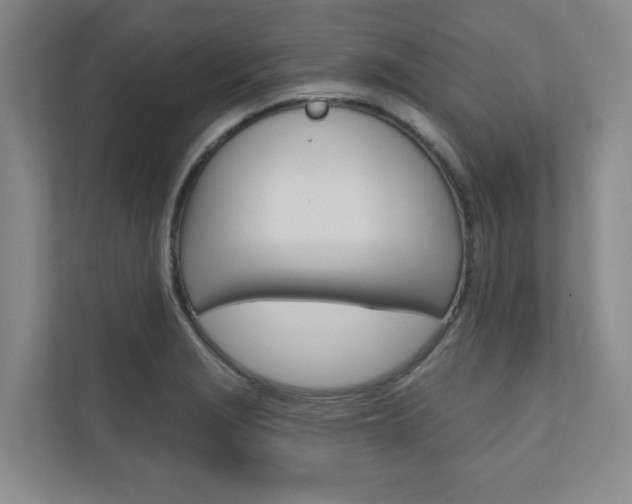 X0000110981229200906191044