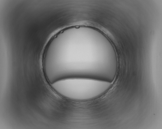 X0000110981230200906191044