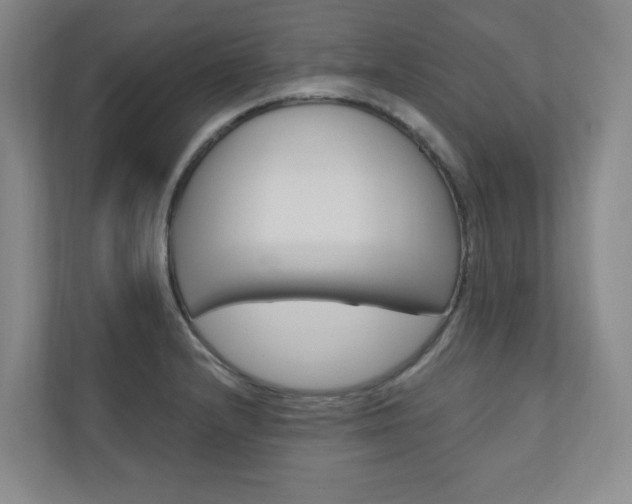 X0000110981232200906191044