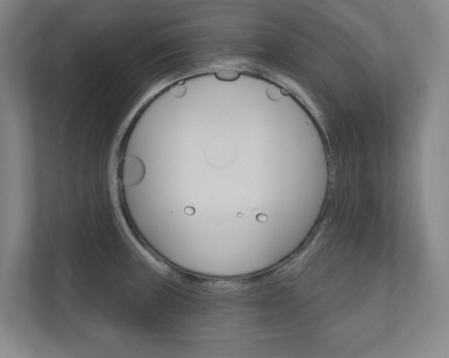 X0000110981235200906191044