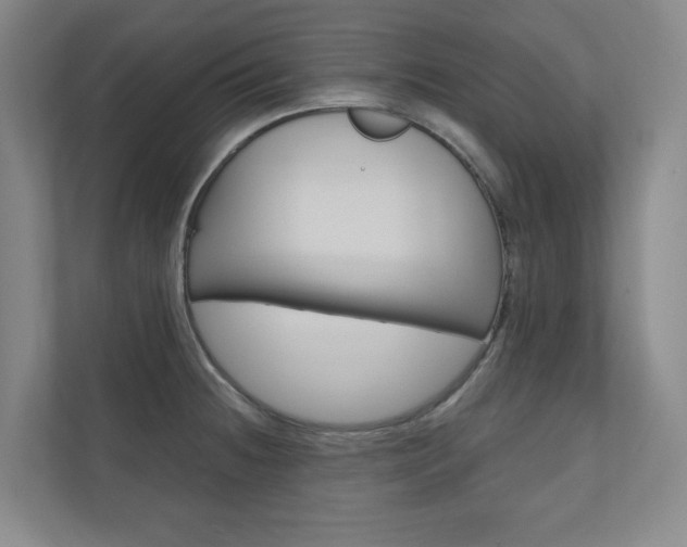 X0000110981236200906191044