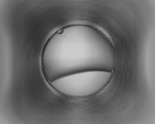 X0000110981237200906191044