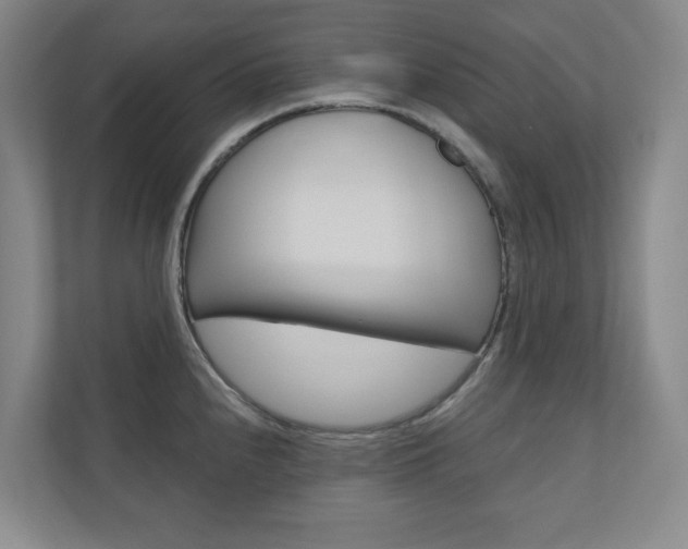X0000110981240200906191044