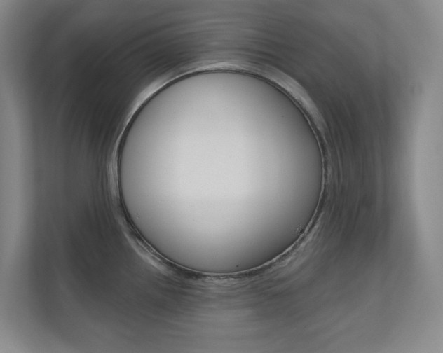 X0000110981242200906191044