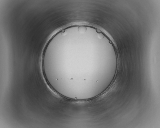 X0000110981245200906191044