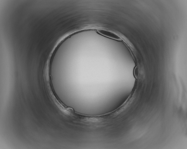 X0000110981246200906191044