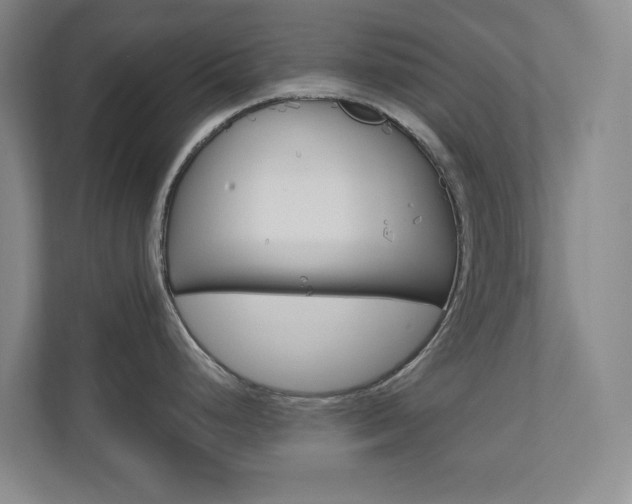 X0000110981248200906191044