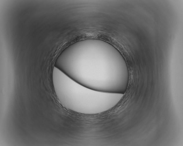 X0000110981249200906191043