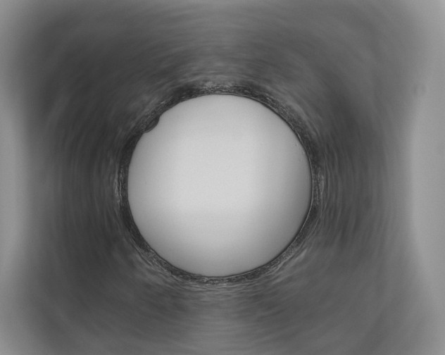X0000110981250200906191043