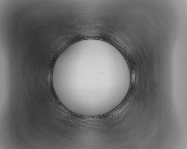 X0000110981251200906191043