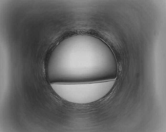 X0000110981252200906191043