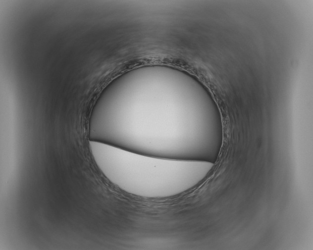 X0000110981253200906191043