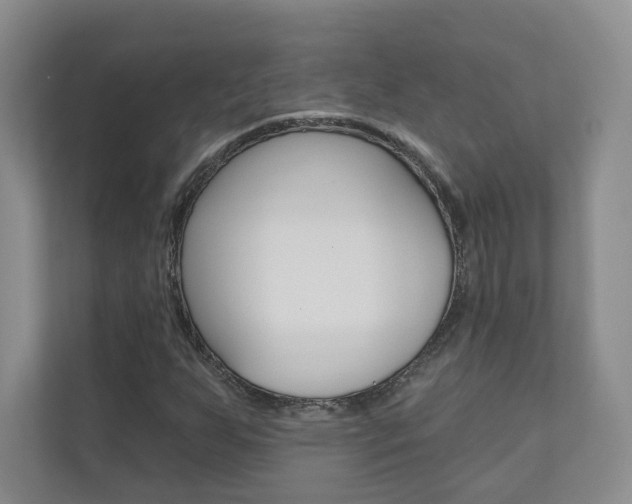X0000110981255200906191043