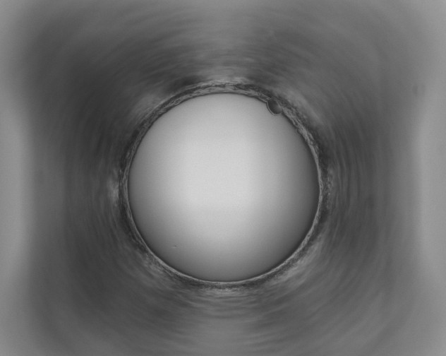 X0000110981257200906191043
