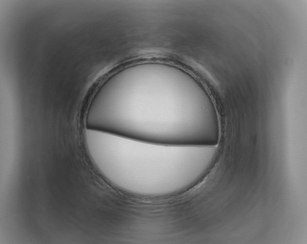 X0000110981261200906191043