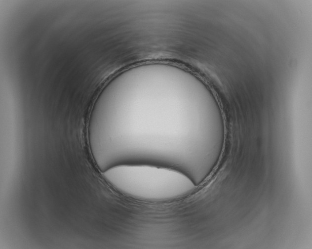 X0000110981265200906191043