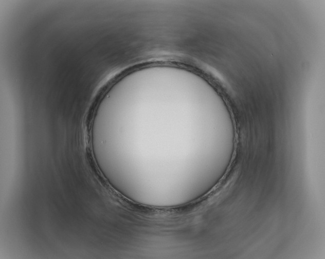 X0000110981267200906191043