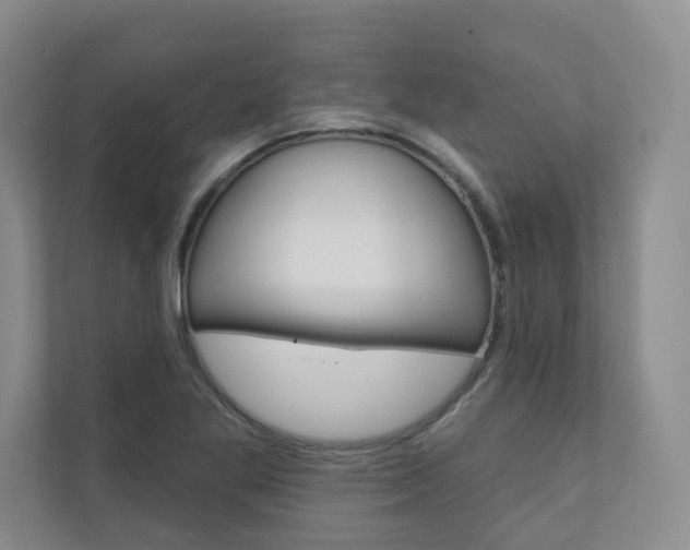 X0000110981269200906191043