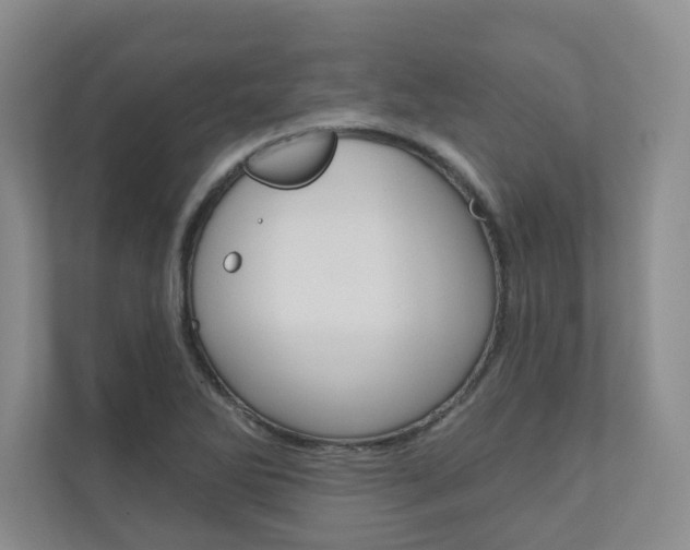 X0000110981270200906191043