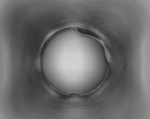 X0000110981272200906191043