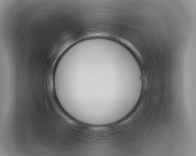 X0000110981274200906191043