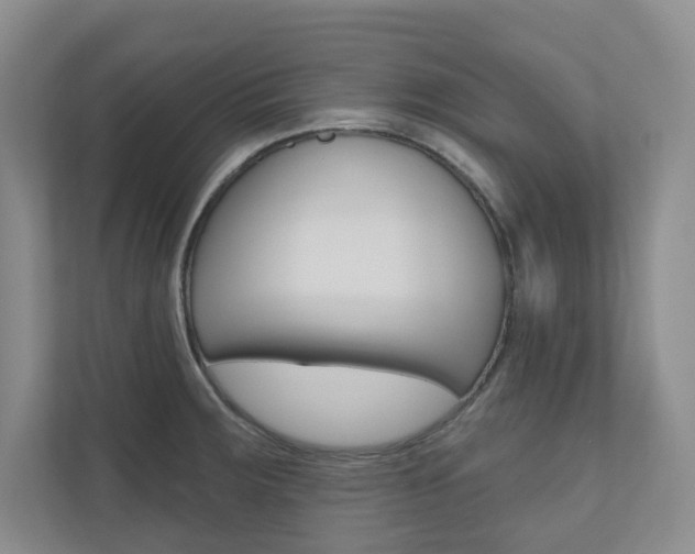 X0000110981283200906191043