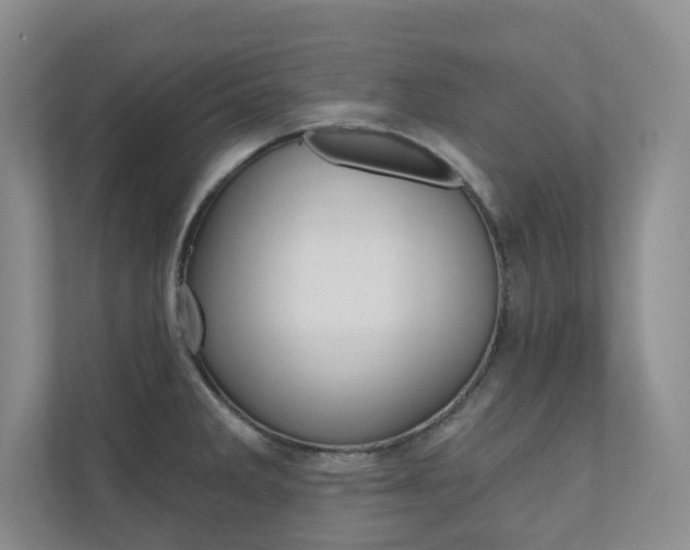 X0000110981285200906191043