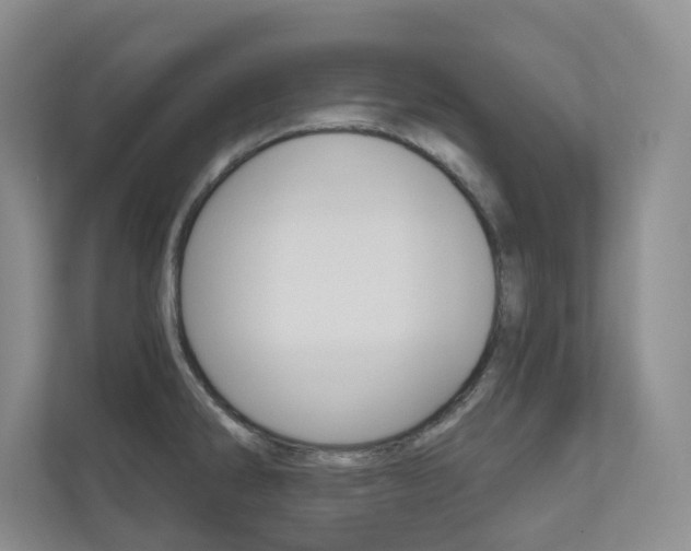 X0000110981286200906191043