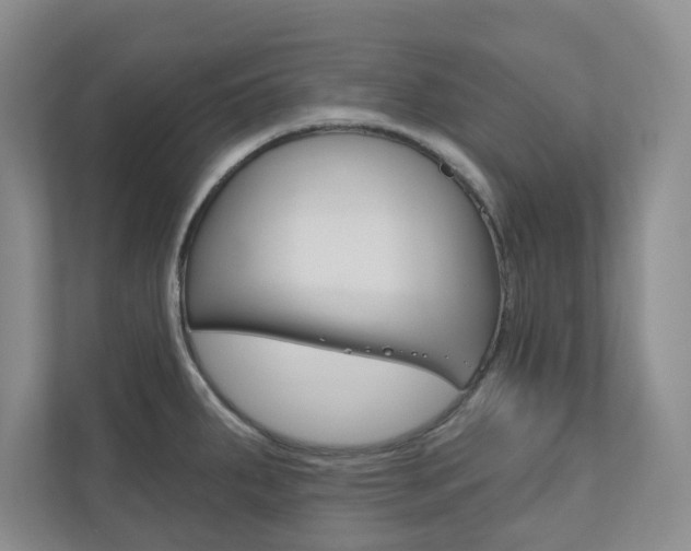 X0000110981287200906191043