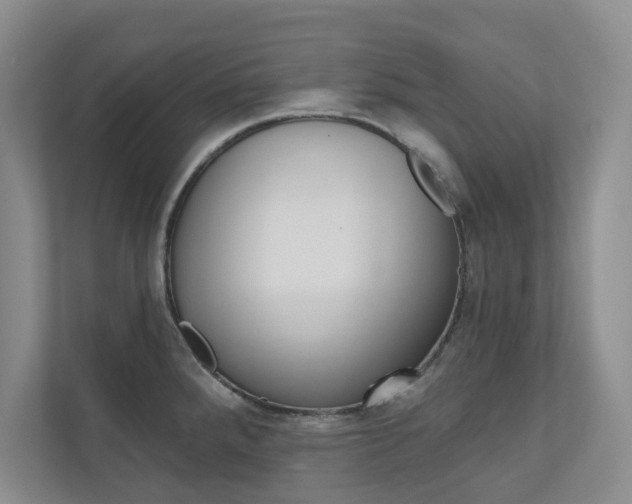 X0000110981288200906191043
