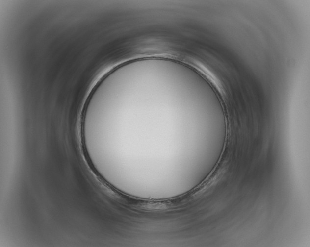 X0000110981291200906191043
