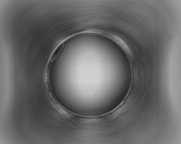 X0000110981292200906191043