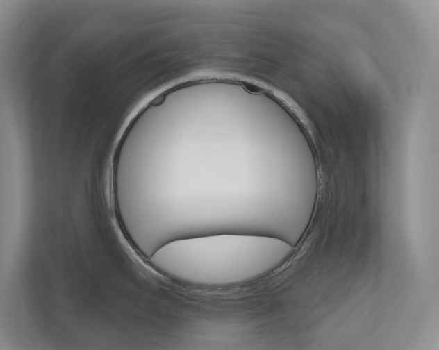 X0000110981295200906191043