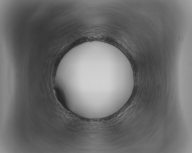 X0000110981297200906191042