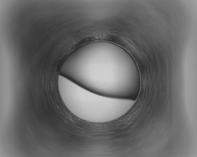 X0000110981298200906191042