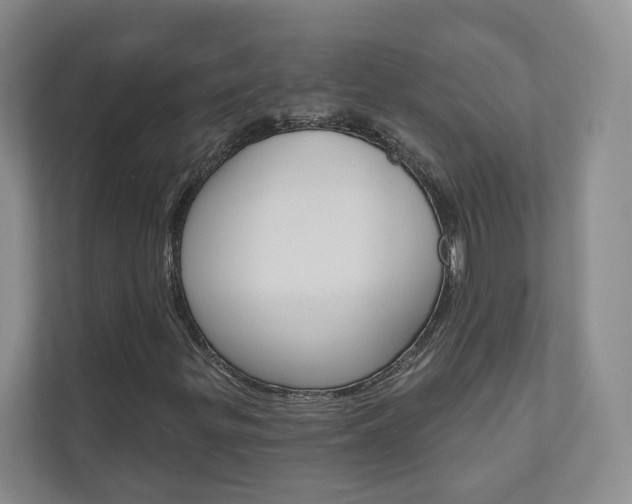 X0000110981299200906191042