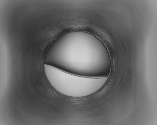 X0000110981300200906191042