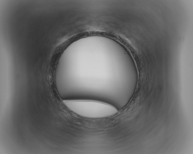 X0000110981303200906191042