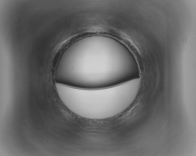 X0000110981304200906191042