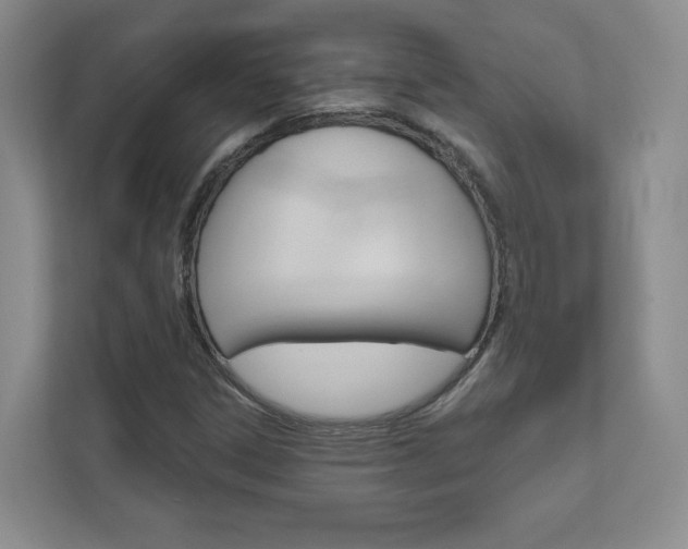 X0000110981306200906191042