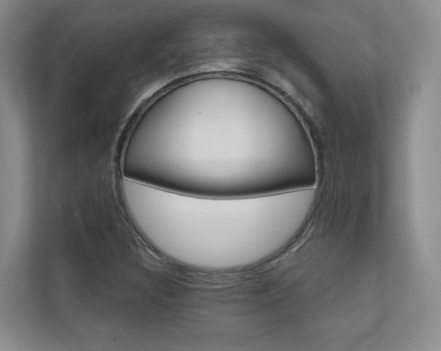 X0000110981308200906191042