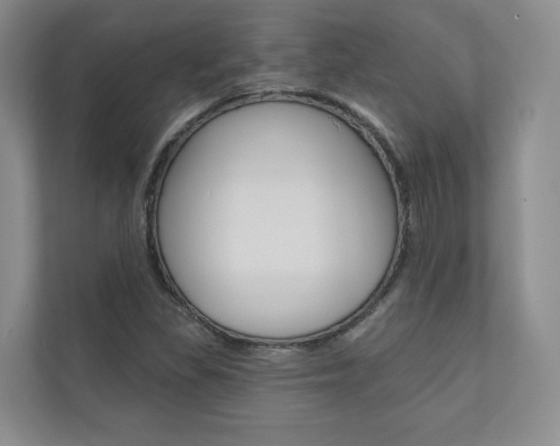 X0000110981309200906191042