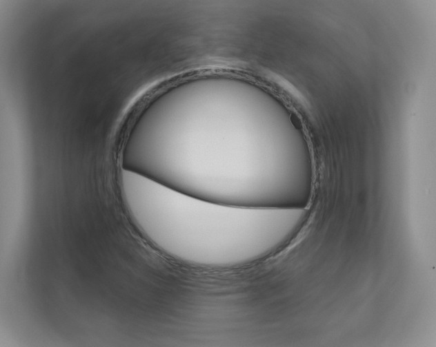 X0000110981310200906191042