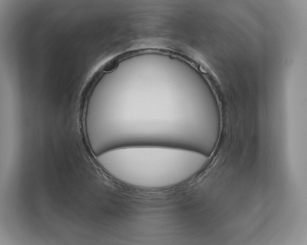 X0000110981312200906191042