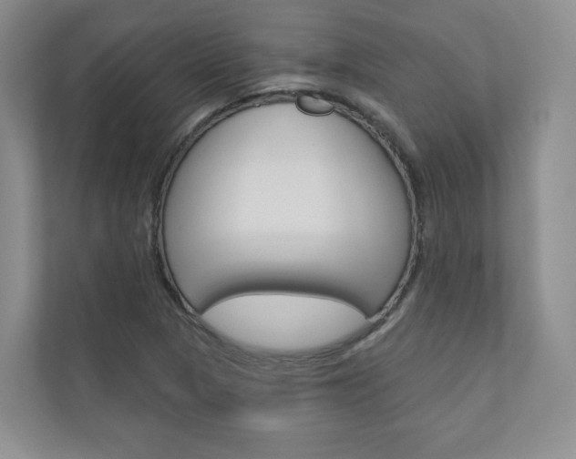 X0000110981313200906191042